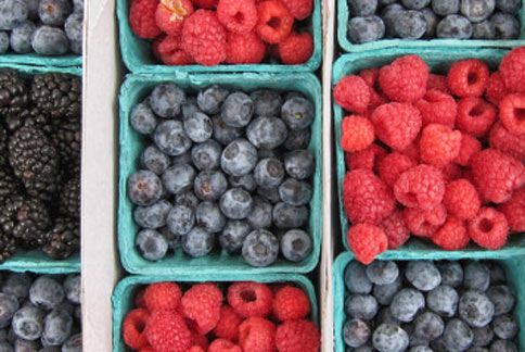蓝莓类果实的营养价值