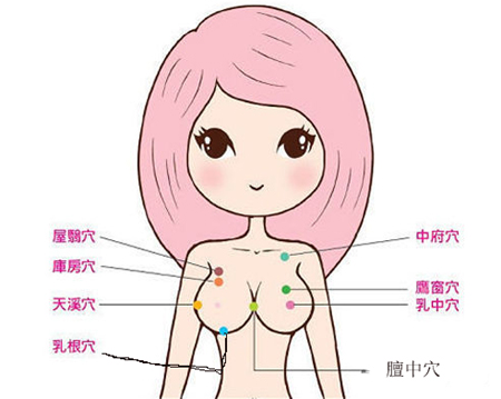 女人胸部穴位位置图