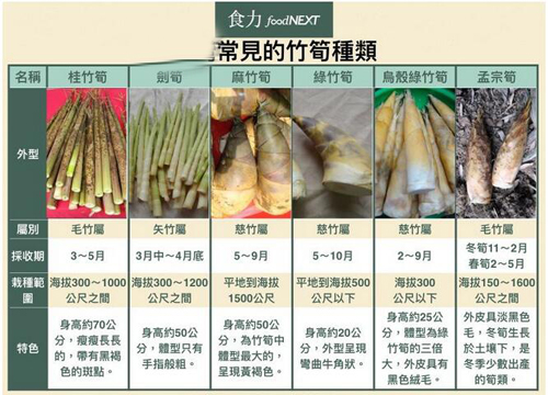 生活中常见可以食用竹笋的种类图片及名称